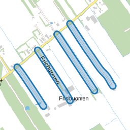 Frisbuorren