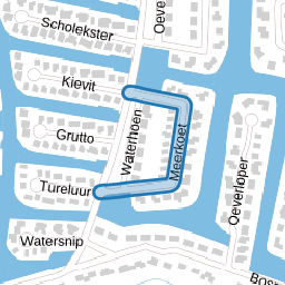 Meerkoet