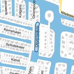 Oeverzwaluw