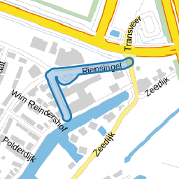 Riensingel