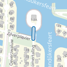 Zilverplevier