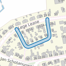 Roune Leane