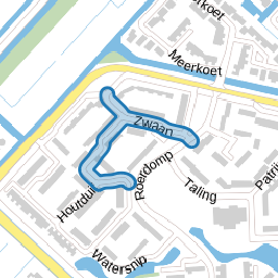 Zwaan