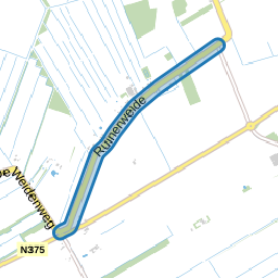 Ruinerweide