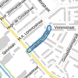 Gladiolenstraat