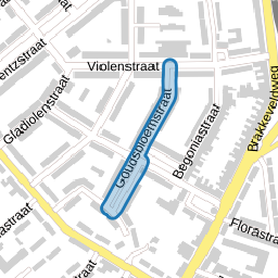 Goudsbloemstraat