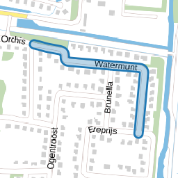 Watermunt