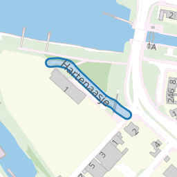 Hartenaasje