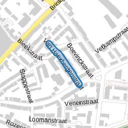 Van Haexbergenstraat