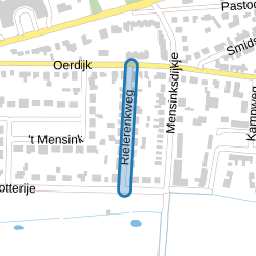 Rielerenkweg