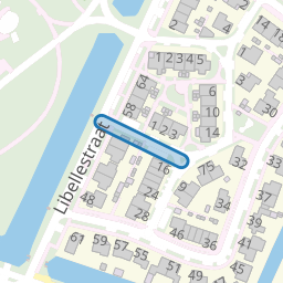 Vuurvlinderpad