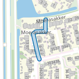 Moerasakker