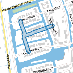 Lutjelant