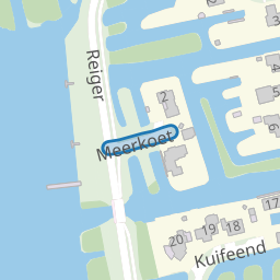 Meerkoet