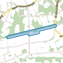 Lomanskampweg