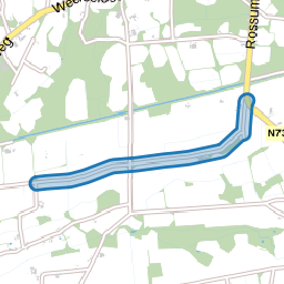 Wolfsbergweg