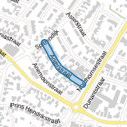 Anjerstraat