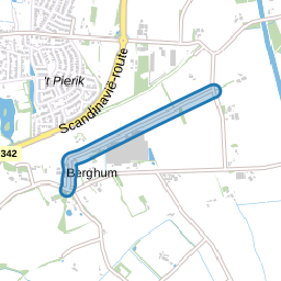 Berghum