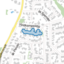 de IJsvogel