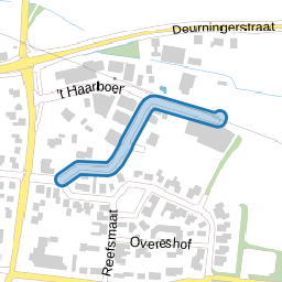 Koehorstmaat