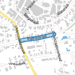 Palthestraat