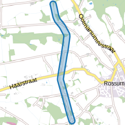 Ootmarsumsedijk
