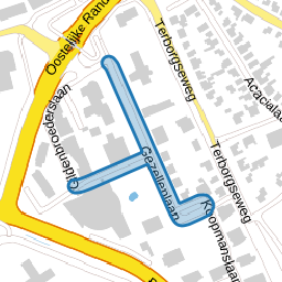 Gezellenlaan