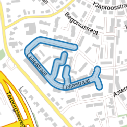Leliestraat