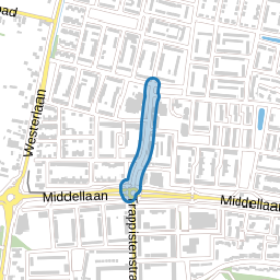 Anjerstraat