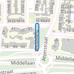 Tulpstraat