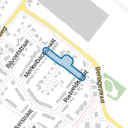van Ravesteynstraat
