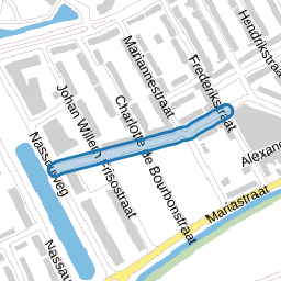 Anna Paulownastraat