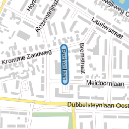 Berkenlaan