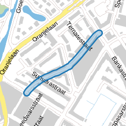 Celebesstraat