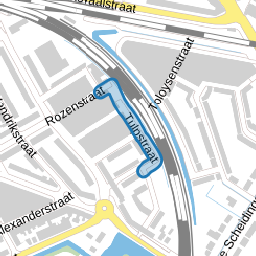 Tulpstraat