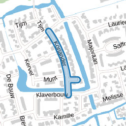 Koriander