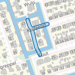 Kuifeend