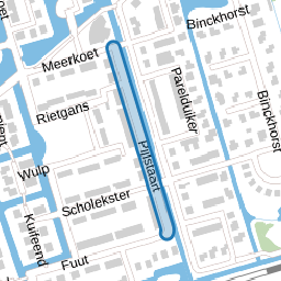 Pijlstaart