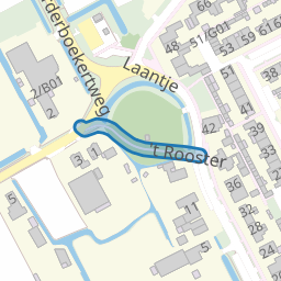 't Rooster