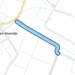 Reedijk
