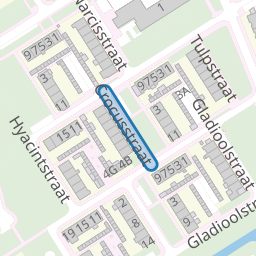Crocusstraat