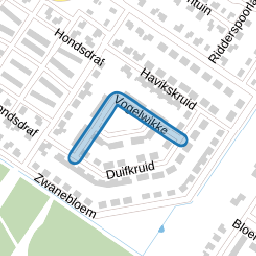 Vogelwikke