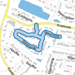 Bieskamp