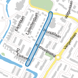 Goudenregenstraat