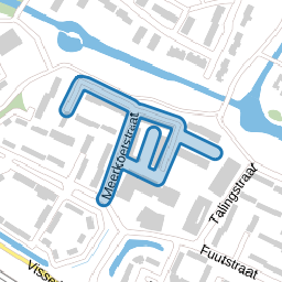 Meerkoetstraat