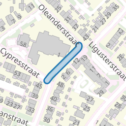 Mispelstraat