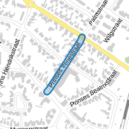 Prinses Irenestraat