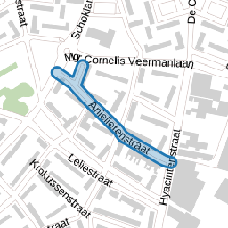 Anjelierenstraat