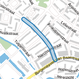 Irissenstraat