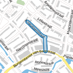 Krokussenstraat